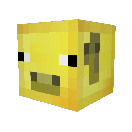 Cool_Fool Minecraft avatar head, 3D render