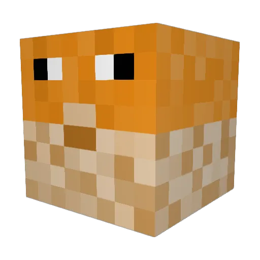 Cool_Guy022 Minecraft avatar head, 3D render