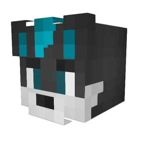 Cool_Jackal Minecraft avatar head, 3D render
