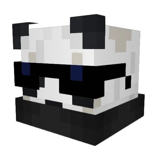 Cool_Kido Minecraft avatar head, 3D render