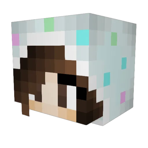 Cool_Ricky002 Minecraft avatar head, 3D render