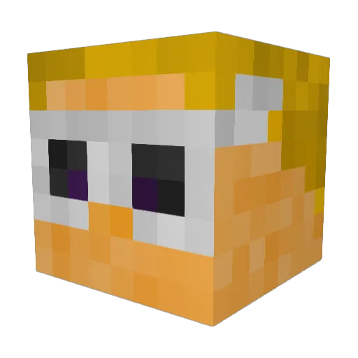 Cool_Username__ Minecraft avatar head, 3D render