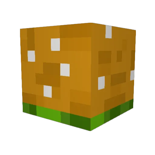 Cool_cat229 Minecraft avatar head, 3D render