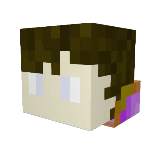 Cool_est Minecraft avatar head, 3D render