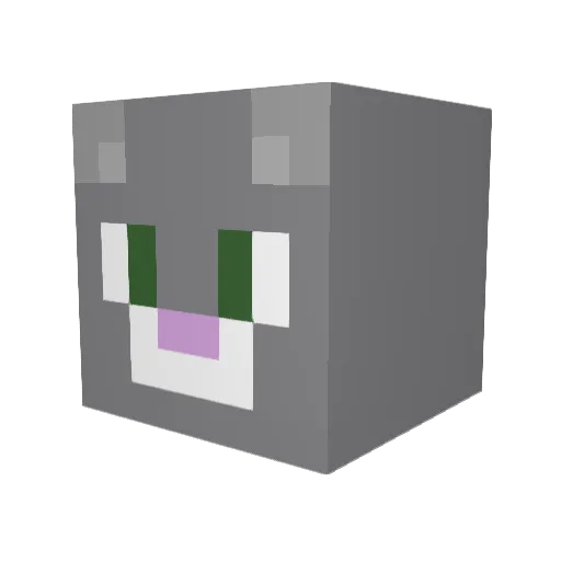 CoolaKit Minecraft avatar head, 3D render