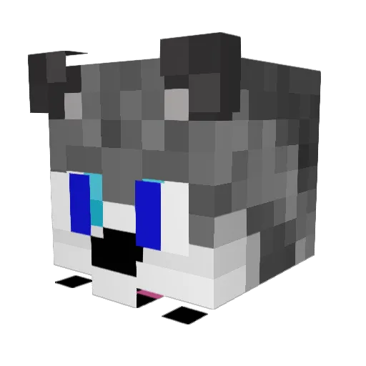 Coola_Bananer Minecraft avatar head, 3D render