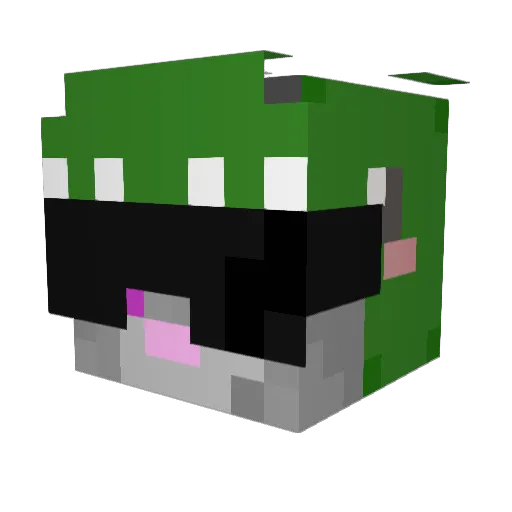 Coola_Cat Minecraft avatar head, 3D render