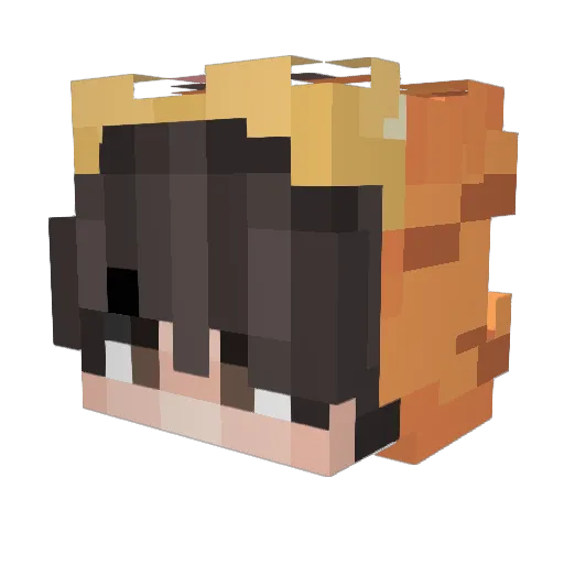 CoolandCrunchy Minecraft avatar head, 3D render