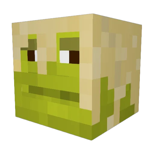 Coolasian64 Minecraft avatar head, 3D render