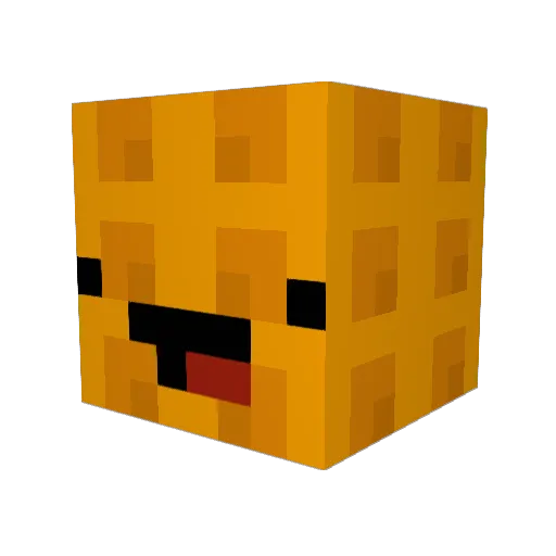Coolbean26 Minecraft avatar head, 3D render