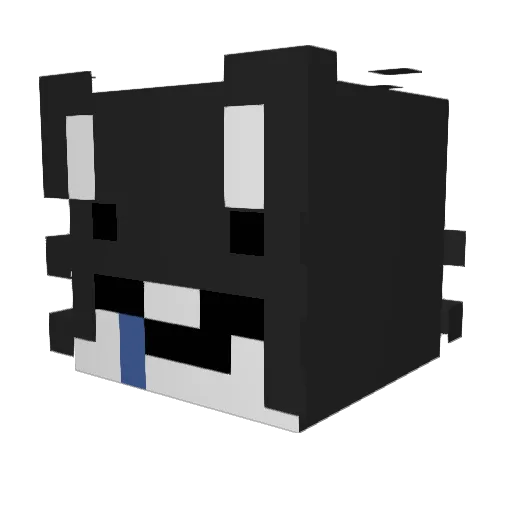 Coolbeans08 Minecraft avatar head, 3D render