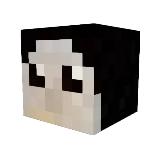 Coolbox Minecraft avatar head, 3D render
