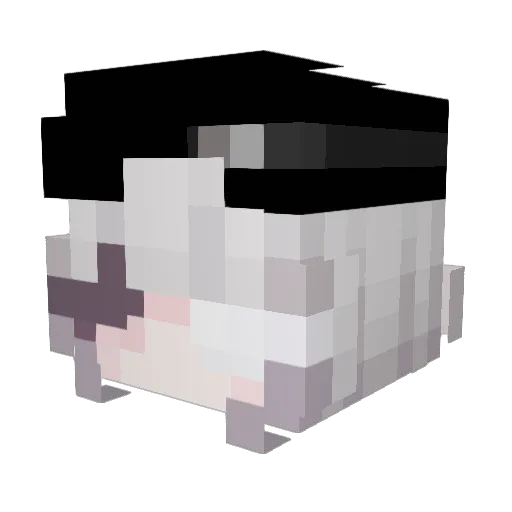 Coolboy340 Minecraft avatar head, 3D render
