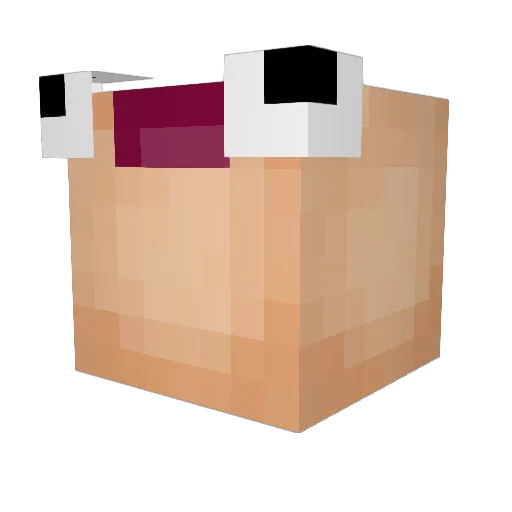 Coolboy87 Minecraft avatar head, 3D render