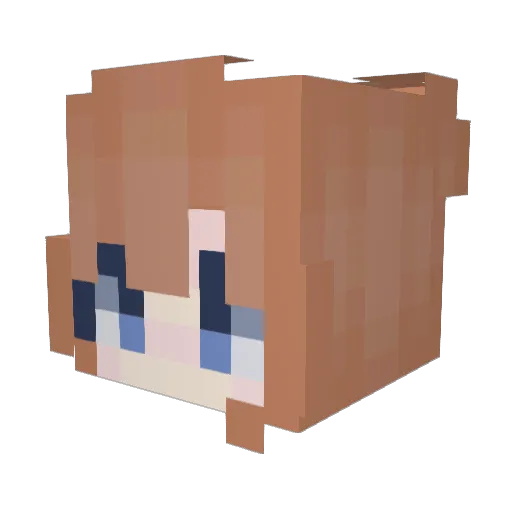 Coolbu Minecraft avatar head, 3D render