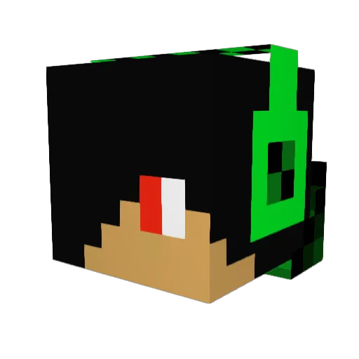 Coolcabbage16 Minecraft avatar head, 3D render