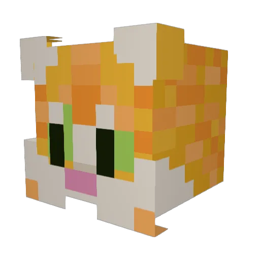 Coolcat596 Minecraft avatar head, 3D render
