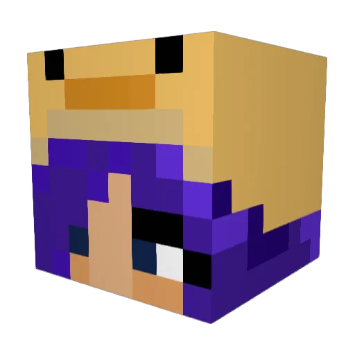 Coolcata321 Minecraft avatar head, 3D render