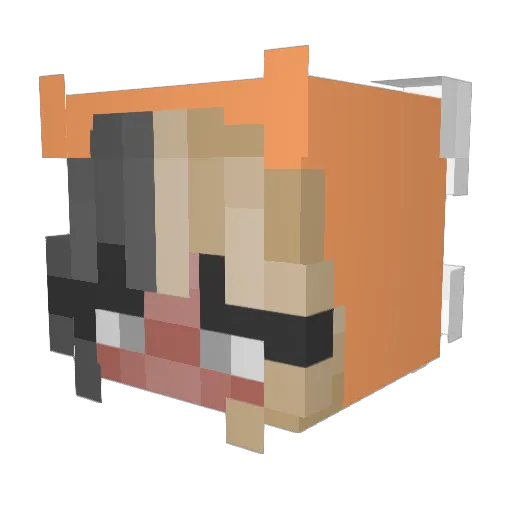 Coolcatyt Minecraft avatar head, 3D render