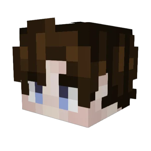 Coolcody1103 Minecraft avatar head, 3D render