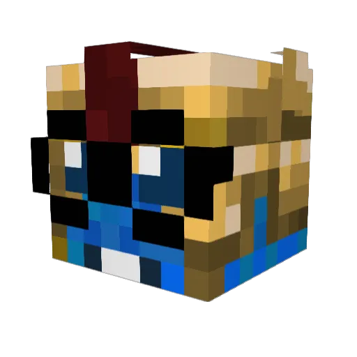 Coolcolin2112 Minecraft avatar head, 3D render