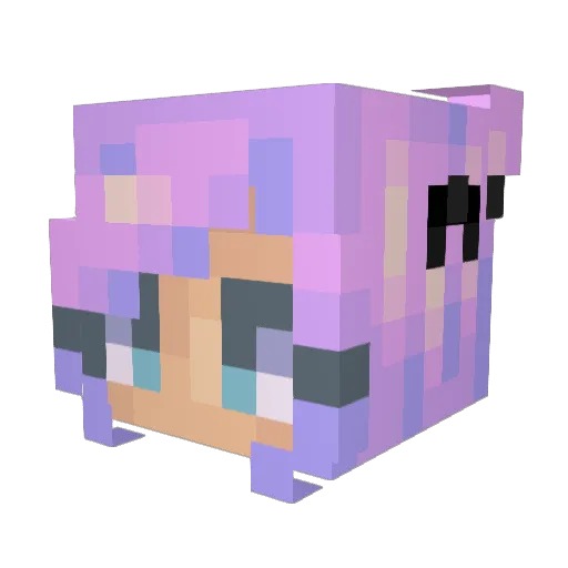 Cooldogruf4 Minecraft avatar head, 3D render