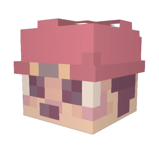 Cooldragon310 Minecraft avatar head, 3D render