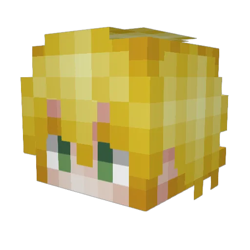 Cooldude2049 Minecraft avatar head, 3D render