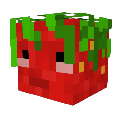 CooleErdbeere1 Minecraft avatar head, 3D render
