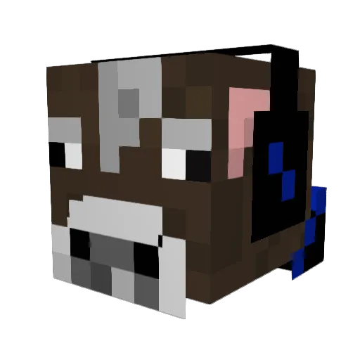 CooleKoe123 Minecraft avatar head, 3D render