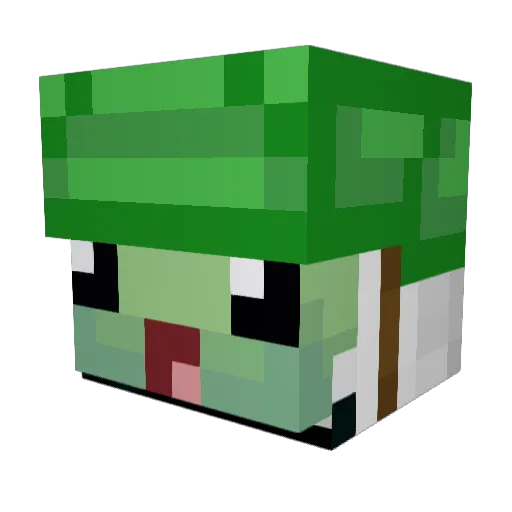 CooleRoteMelone Minecraft avatar head, 3D render