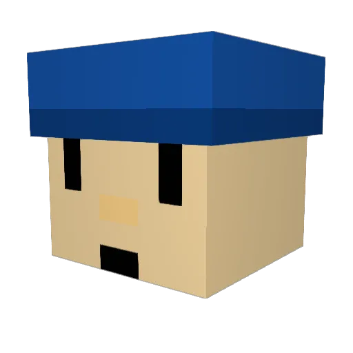 CooleSX Minecraft avatar head, 3D render