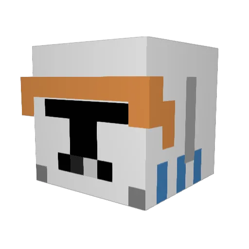 CooleVide Minecraft avatar head, 3D render