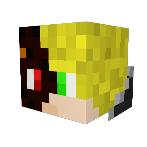 Coolecolin Minecraft avatar head, 3D render