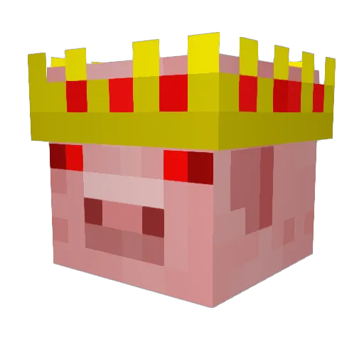 Coolekaka Minecraft avatar head, 3D render