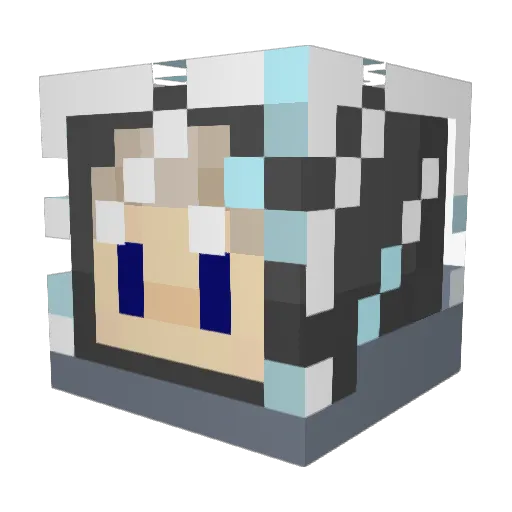 Cooler19 Minecraft avatar head, 3D render