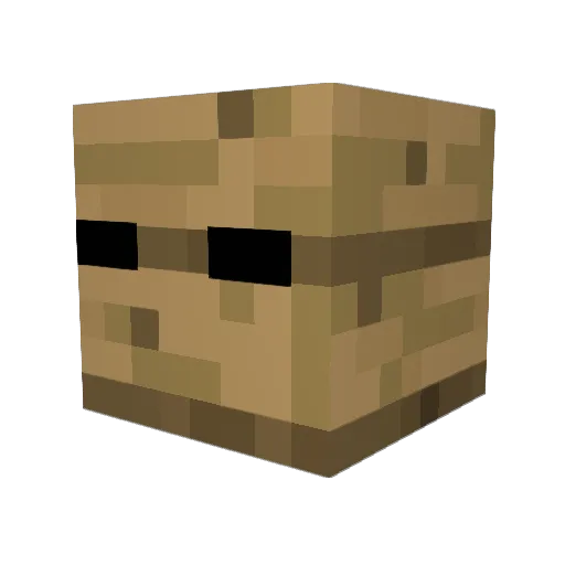 CoolerGamerLOL Minecraft avatar head, 3D render