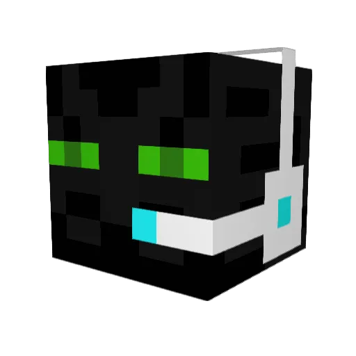 CoolerType1225 Minecraft avatar head, 3D render