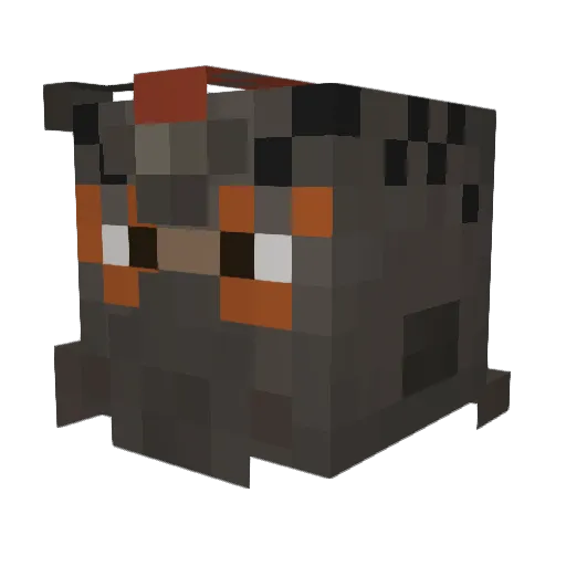 Coolerdonut0 Minecraft avatar head, 3D render