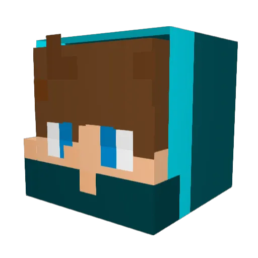 Coolershark Minecraft avatar head, 3D render