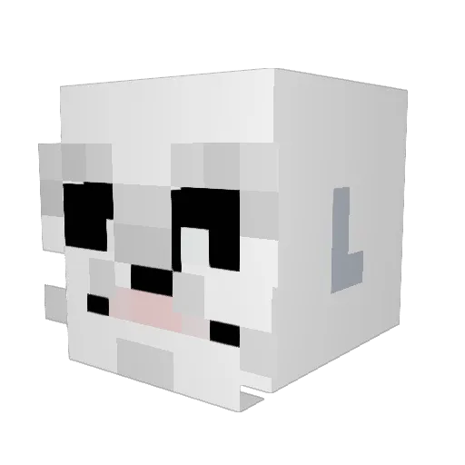 Coolerskeleton95 Minecraft avatar head, 3D render