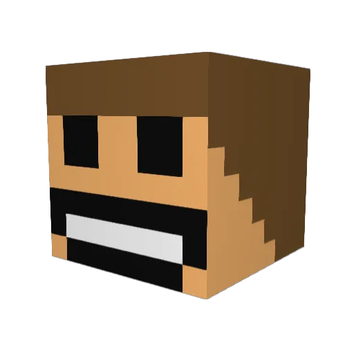 Cooley8 Minecraft avatar head, 3D render