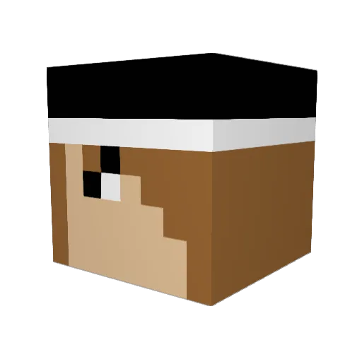 Coolfirehg Minecraft avatar head, 3D render