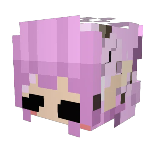 Coolgers Minecraft avatar head, 3D render