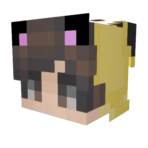 Coolgirl1393 Minecraft avatar head, 3D render