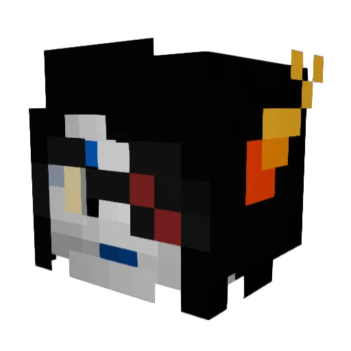 Coolgum15 Minecraft avatar head, 3D render