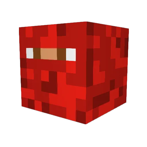 Coolguy17s Minecraft avatar head, 3D render