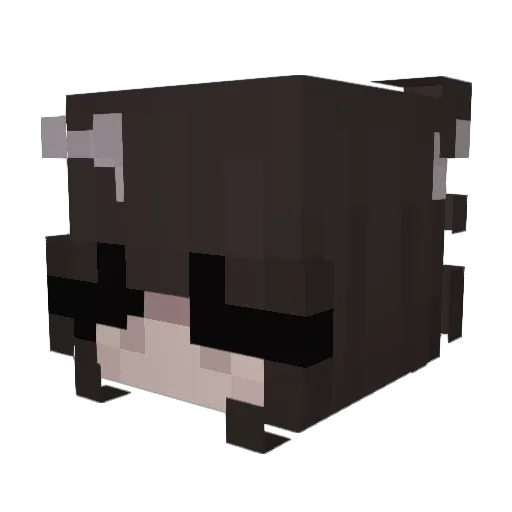 Coolidiot69 Minecraft avatar head, 3D render