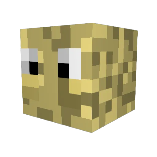 Coolio03 Minecraft avatar head, 3D render