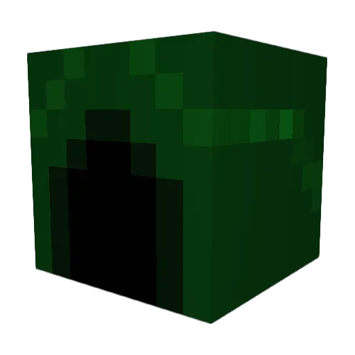 Coolio1234000 Minecraft avatar head, 3D render